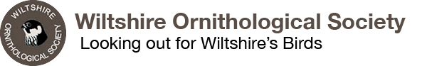 Wiltshire Ornithological Society